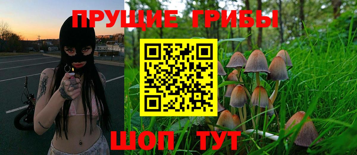 Псилоцибиновые грибы Magic Shrooms Рыбинск